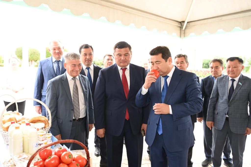 Делегаттар Нағи Ілиясов ауылының тұрмыс-тіршілігімен танысты