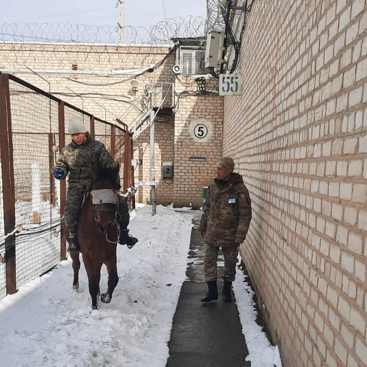 Мекемеде жылқының көмегімен тексеру іс-шаралары қолға алынды