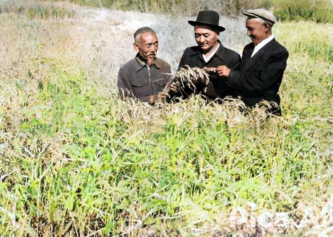 Оқ пен оттың ортасынан оралған ер