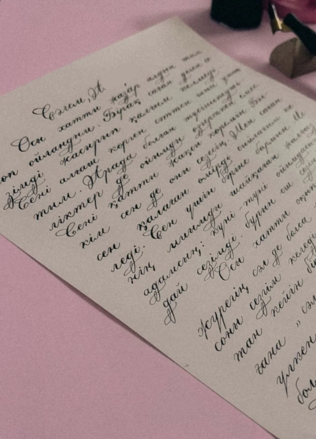 Әлемдік брендтің назарын аударған қазақ қызы