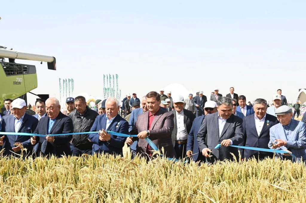 Сыр өңіріндегі егіс алқаптары әртараптандырылуда