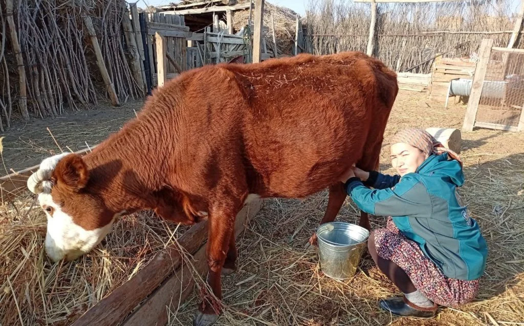 Қоғалыкөлдік жастар кәсіптің көзін табуда