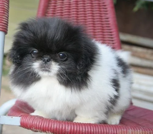 Қасиет болса, ешкім сындыра алмайды