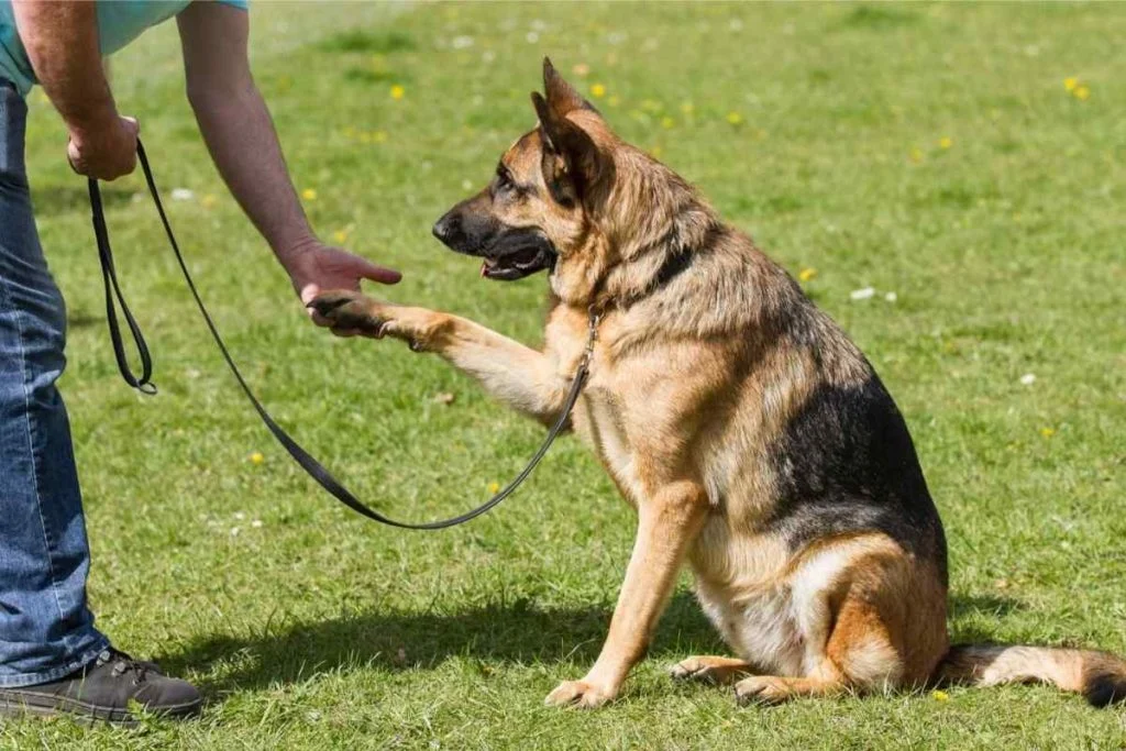 Қасиет болса, ешкім сындыра алмайды