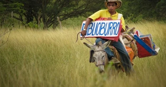 Әлемнің әр түкпіріндегі 6 ерекше кітапхана