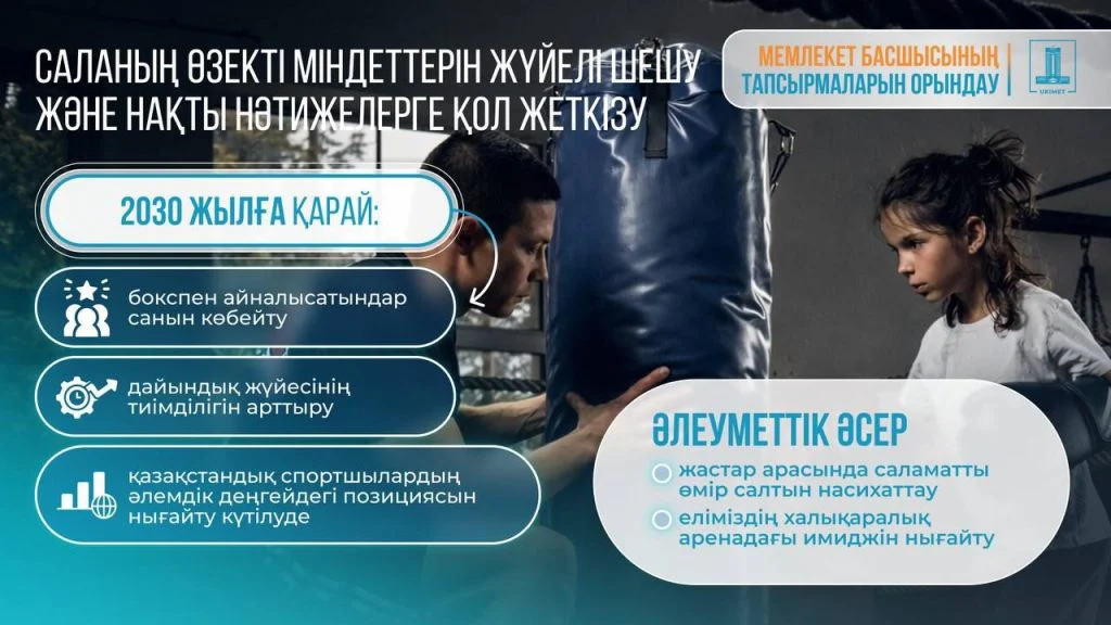 Боксты дамыту тұжырымдамасы бекітілді