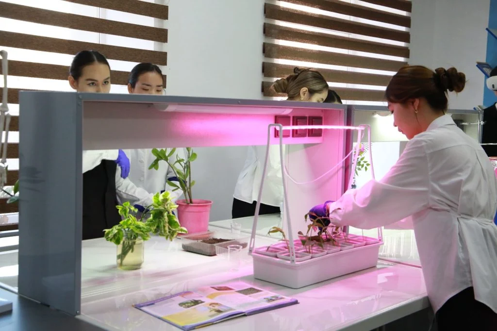 Ұстаздар ұстаханасы