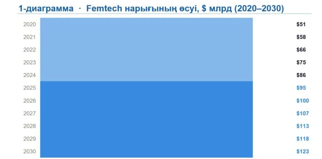 Қызылордалық стартапер әйелдерге арналған жоба әзірледі